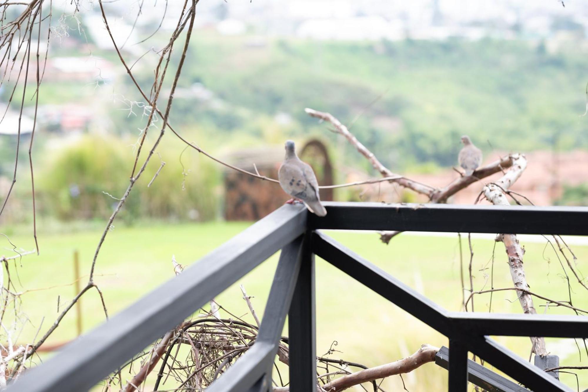 Hotel Pachamama Campestre Dosquebradas Kültér fotó