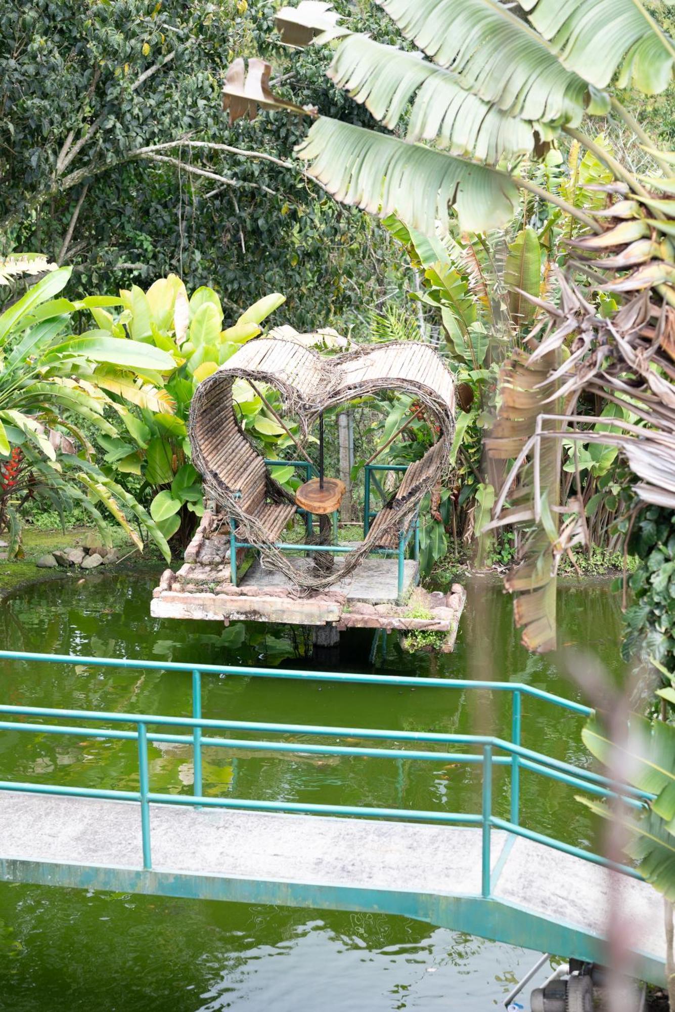 Hotel Pachamama Campestre Dosquebradas Kültér fotó